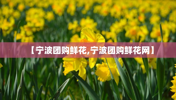 【宁波团购鲜花,宁波团购鲜花网】
