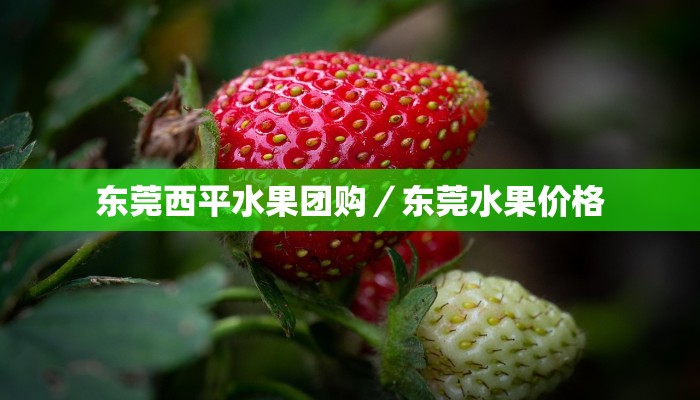 东莞西平水果团购／东莞水果价格